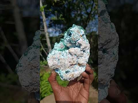 Natural Malachite Pseudomorph with Chrysocolla Specimen x 1 From Kolwezi, Congo