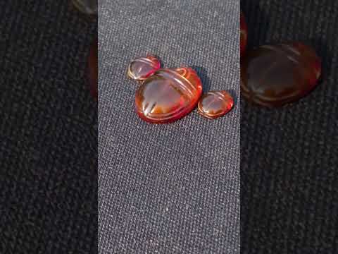 Carved Set of 3 Sacred Scarab Beetle Cabochons in Fossil Baltic Amber x 1 From Poland