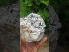 Natural Schorl Black Tourmaline Crystals on Feldspar with Fluorescent Hyalite Opal on Top x 1 From Erongo, Namibia