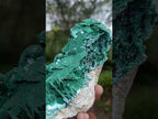 Natural Bladed Malachite after Azurite Pseudomorph Specimen x 1 From Kolwezi, Congo