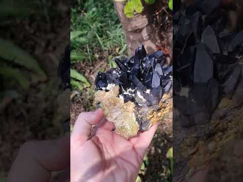 Natural Hyalite Opal on a Dark Morion Smokey Quartz Cluster x 1 From Erongo, Namibia
