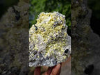 Natural Smokey Fluorite Specimen with Associated Minerals x 1 From Erongo, Namibia