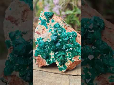 Natural Cabinet Dioptase Specimen with Extra Large Crystals x 1 From Mashamba East Mine, Congo