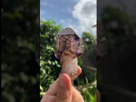 Natural Classic Window Scepter Smokey Amethyst Quartz Crystal x 1 From Chiredzi, Zimbabwe