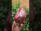 Polished Rare Red Rhodonite Standing Display Piece x 1 From Zimbabwe