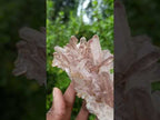 Natural Red Hematoid Quartz Crystal Cluster x 1 From Fianarantsoa, Madagascar