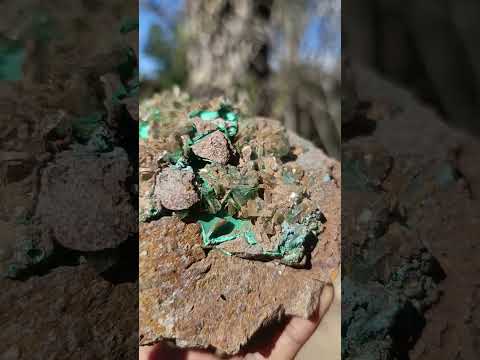 Natural Large Barite with Malachite Specimen on a Dolomite Matrix x 1 From Shangulowe Mine, Congo