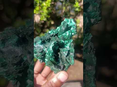 Natural AA Grade Silky Malachite Specimen x 1 From Kasompe, Congo