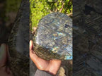 Polished Blue Flash Labradorite Standing Display Piece x 1 From Tulear, Madagascar
