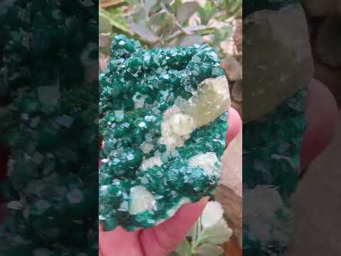 Natural Classic Emerald Green Dioptase Cabinet Specimen x 1 From Likasi, Congo