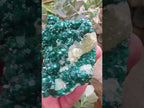 Natural Classic Emerald Green Dioptase Cabinet Specimen x 1 From Likasi, Congo