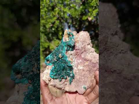 Natural Gorgeous Large Dioptase Specimen on a Dolomite Matrix x 1 From Mashamba East, Congo