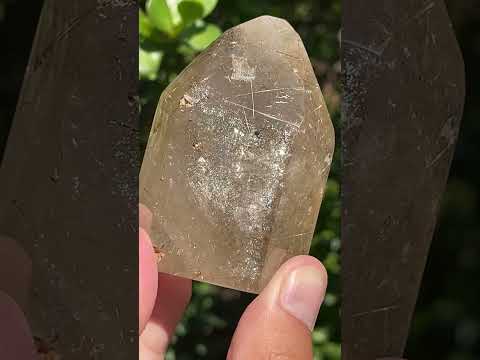 Polished Smokey Golden Rutile Quartz Crystal x 1 From Madagascar