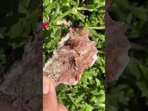Natural Rare Orange Acicular Inesite Specimen x 1 From Wessels Mine, South Africa