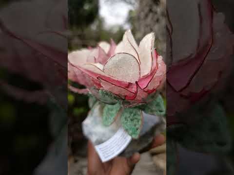 Hand Made Large Gemstone Art Twin King Protea Flower Ornament x 1 From South Africa