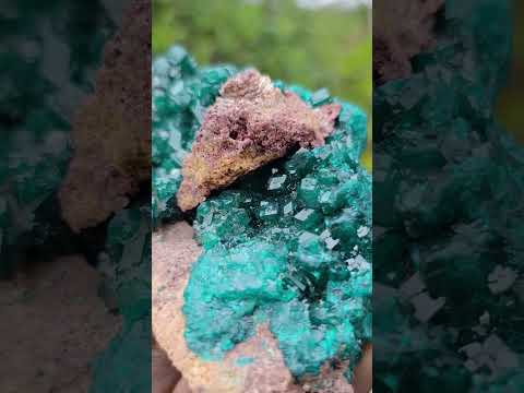 Natural Large Cabinet Size Dioptase Specimen on a Dolomite Matrix x 1 From Mashamba East, Congo