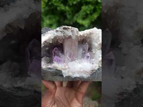 Natural Kinky Goboboseb Brandberg Amethyst Crystal Cave Vug Specimen x 1 From Brandberg, Namibia