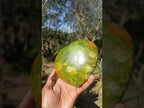 Polished Large Bright Green Opal Heart x 1 From Betroka, Madagascar