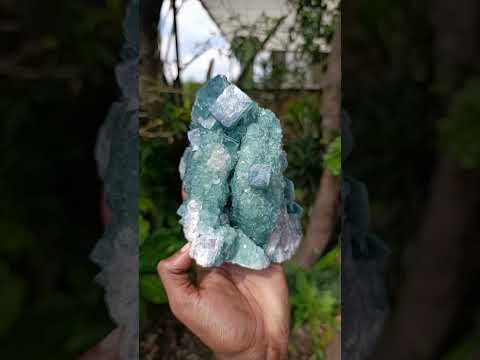 Natural Green Cubic Fluorite Crystal Specimen x 1 From Mandrosonoro Madagascar