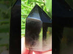 Polished Morion Black Smokey and Clear Sceptre Phantom Crystal x 1 From Madagascar