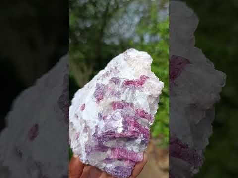 Natural Rubellite Pink Tourmaline in a Quartz and Mica Schist x 1 From Karibib, Namibia