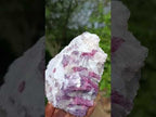 Natural Rubellite Pink Tourmaline in a Quartz and Mica Schist x 1 From Karibib, Namibia