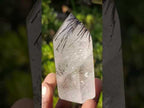 Polished Clear Quartz Crystal with Schorl Black Tourmaline Crystal Inclusions x 1 From Madagascar