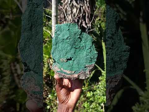 Natural Large Botryoidal Crystalline Malachite Plate Specimen x 1 From Tenke Fungurume, Congo