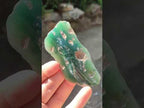 Polished and Natural Mix Set of 9 Minerals, Crystals and Fossils in a Wooden Display Box x 1 From Southern Africa