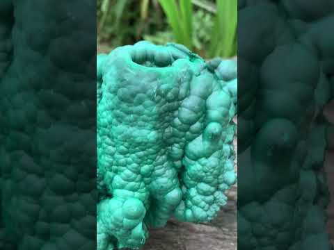 Natural Botryoidal Malachite Stalactite Specimen x 1 From Congo