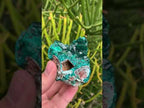 Natural Rare Dioptase and Crystalline Malachite Specimen x 1 From Likasi, Congo