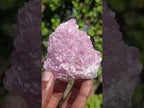 Natural Cabinet Size Rare Cobaltoan Rhodocalcite Specimen x 1 From Mashamba West Mine, Congo