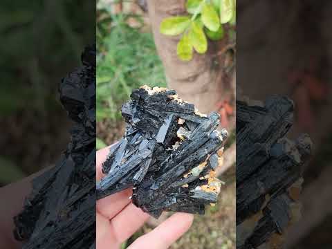 Natural Multi-Terminated Splayed Schorl Fluorite and Muscovite Specimen x 1 From Erongo, Namibia