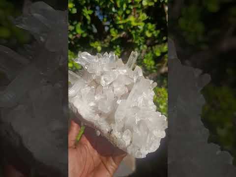 Natural Large Clear Malagasy Multi-Terminated Quartz Crystal Cluster x 1 From Ambatofinandrahana, Madagascar