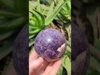 Polished Purple Lepidolite Sphere with Rubellite Pink Tourmaline x 1 From Madagascar