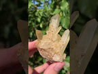 Natural Clear Quartz Cluster with Golden Tint x 1 From Ambatfinhandrana, Madagascar