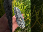 Natural Large Blue Kyanite with Biotite Mica Specimen x 1 From Karoi, Zimbabwe