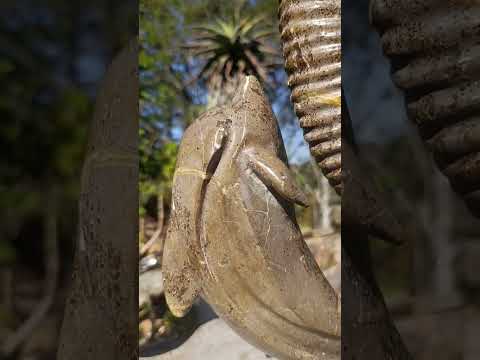 Hand Made XXL Superb Dolphin and Perisphinctes Ammonite Fossil Sculpture x 1 From Tulear, Madagascar