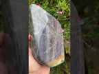 Polished Rare Purple Labradorite Standing Free Form x 1 From Tulear, Madagascar