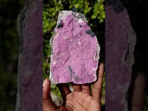 Natural Large Pink Salrose Cobaltion Dolomite Specimen with Heterogenite x 1 From Kakanda, Congo