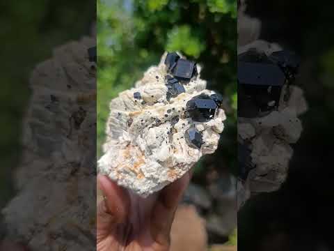 Natural Shiny Black Schorl Tourmaline Crystals on Bladed Lamellar White Feldspar x 1 From Erongo Mountain, Namibia