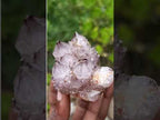 Natural Rare Smokey Amethyst Spirit Quartz Cluster x 1 From Boekenhouthoek, South Africa