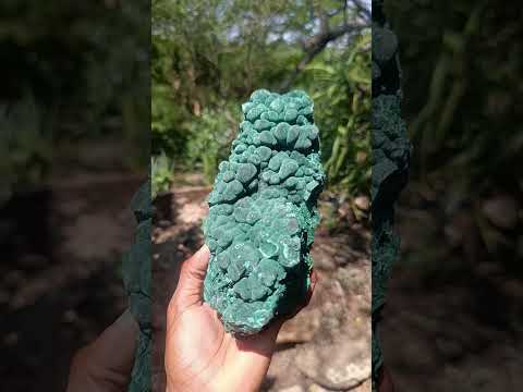 Natural Large Botryoidal and Fibrous Malachite Cabinet Specimen x 1 From Kasompe, Congo