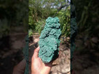 Natural Large Botryoidal and Fibrous Malachite Cabinet Specimen x 1 From Kasompe, Congo