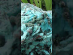 Natural Chrysocolla Blade Crystal Pseudomorph after Malachite with Druzy Coated Ball Malachite on Dolomite x 1 From Lupoto Mine, Congo