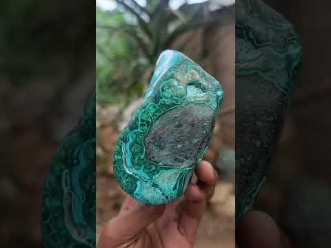 Polished Malacolla Free Form x 1 From Kulukuluku, Congo