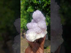 Natural Classic Sunburst Spirit Amethyst Crystal Cluster with Botryoidal Features x 1 From Boekenhouthoek, South Africa