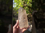Polished Smokey Quartz Crystal with Specular Hematite Floating Inclusions x 1 From Madagascar