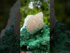 Natural Superb Dioptase and Fibrous Malachite Specimen with Dog Tooth Calcite Crystals x 1 From Mashamba East, Congo