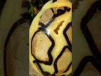 Polished XL Septerye Egg with Yellow Calcite Centre x 1 From Mahajanga, Madagascar